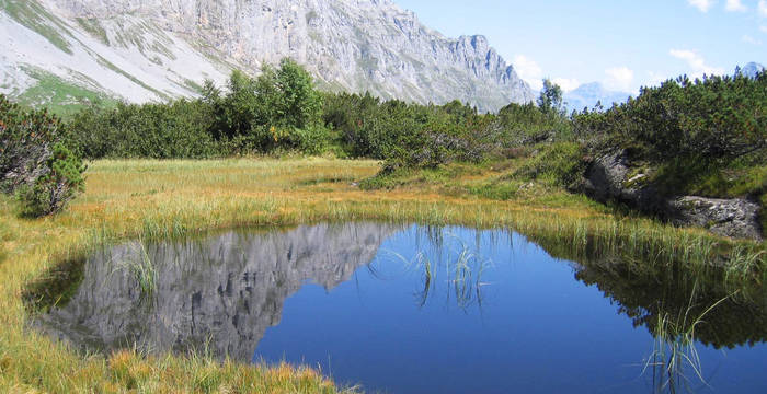Erstfeldertal © Pro Natura