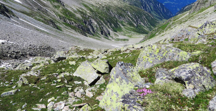 Fellital Blick nach Gurtnellen