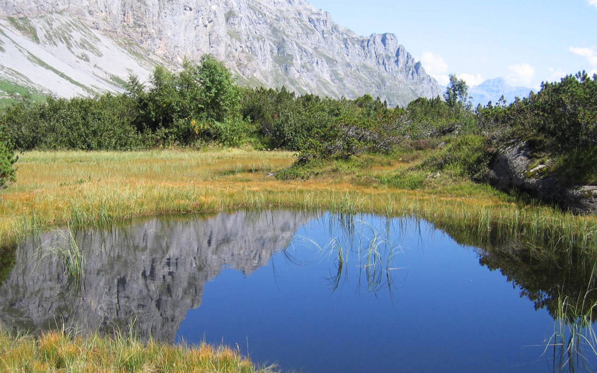 Erstfeldertal © Pro Natura