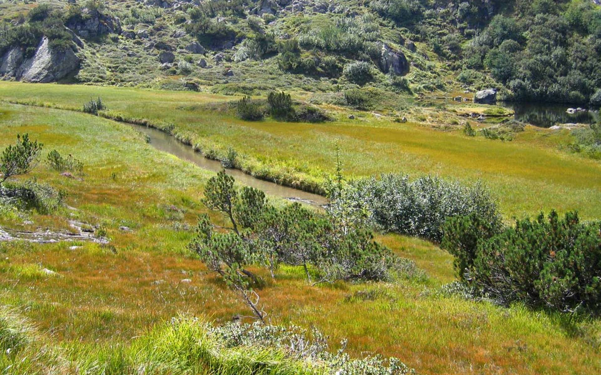 Bach im Erstfeldertal © Pro Natura