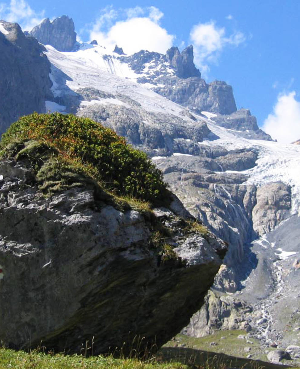 Schlossberggletscher im Erstfeldertal