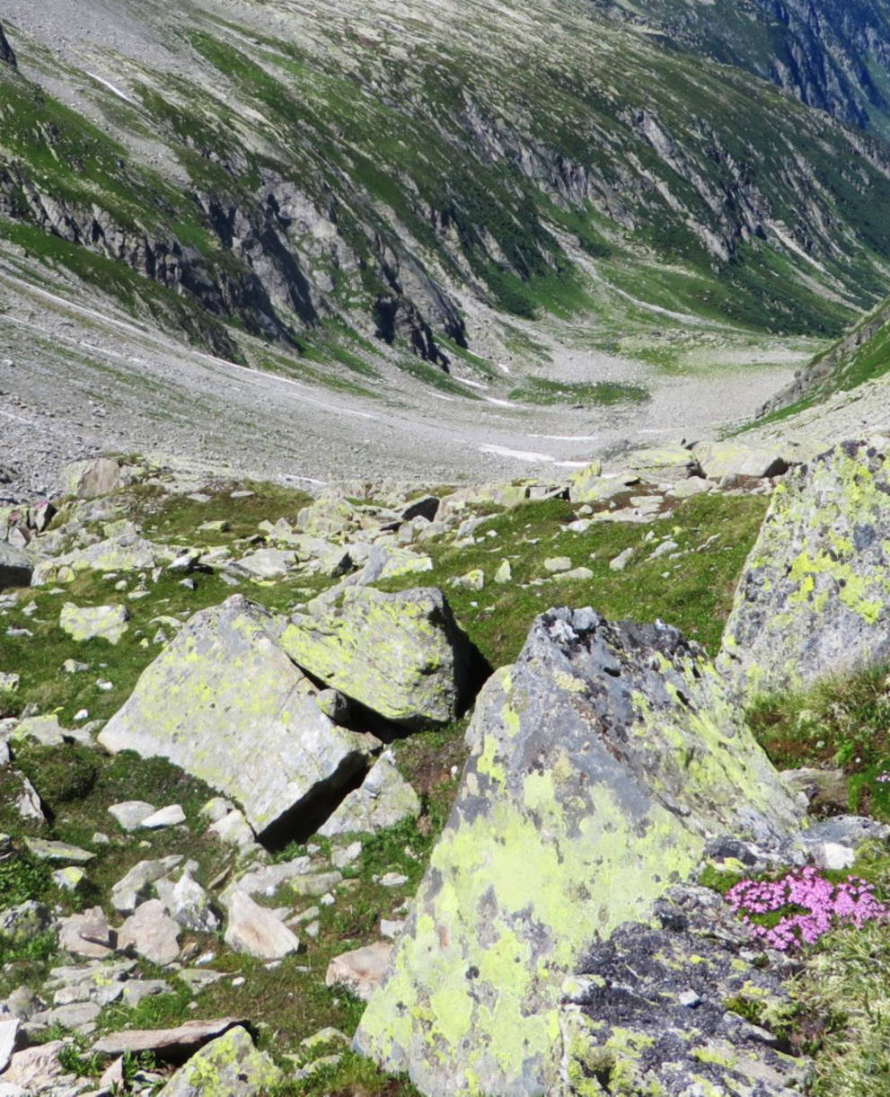 Fellital Blick nach Gurtnellen